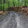 Kopy dreva cestou do gemerského mesta Putnok 