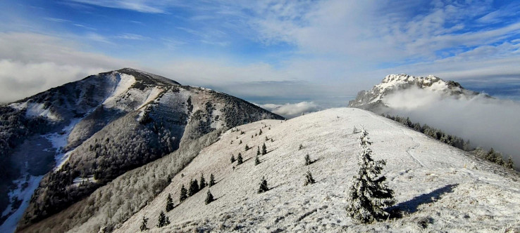 Stoh, Osnica a Veľký Rozsutec