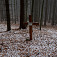 Pamätný kríž pod Brusnianskym grúňom