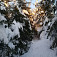 V zajatí snehu v lesoch Smrekovice