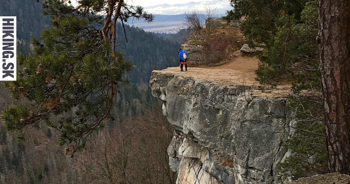 Hiking basecamp: Tomášovský výhľad, Veľký Rozsutec v snehu a náučný chodník nad Beckovom