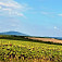 Panoráma Slanských vrchov, južná časť