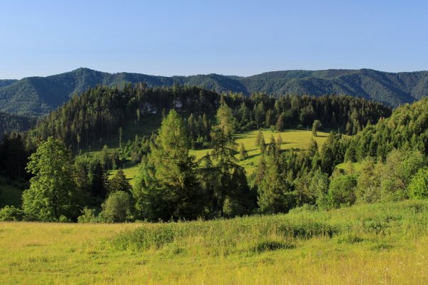 Slovenský raj z nízkotatranských lúk nad sedlom