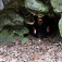 Trpasličia jaskyňa