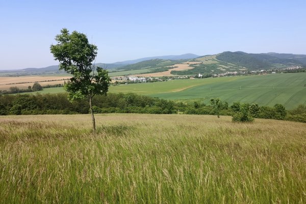 Výhľady z Hájnice na Bošácu, vzadu hrebeň Bielych Karpát s Jelencom a Veľkou Javorinou