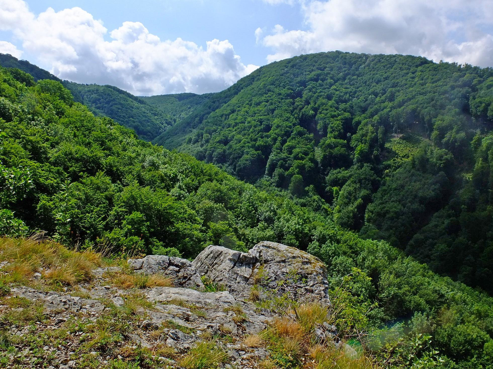 Zo skál Sokolej (skaly / Kohútka) do hlbokej Prejtianskej doliny