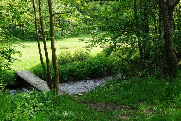 Drevený mostík cez Kojšovský potok nad dedinou