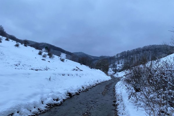 Čičermanská dolina, potok-cesta