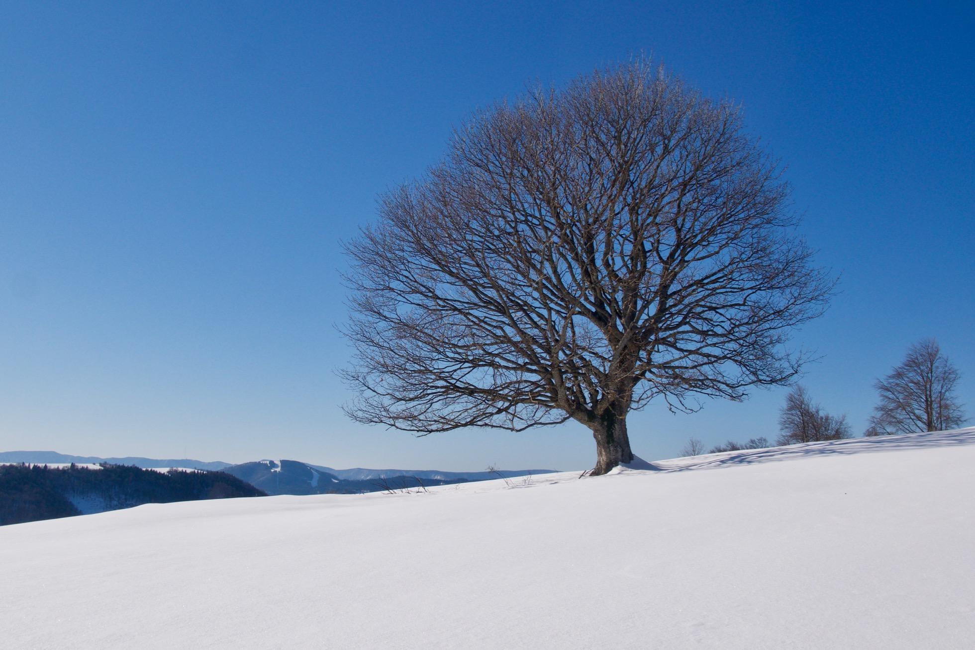 Zimné Vlačuhovo. Foto Soňa Mäkká