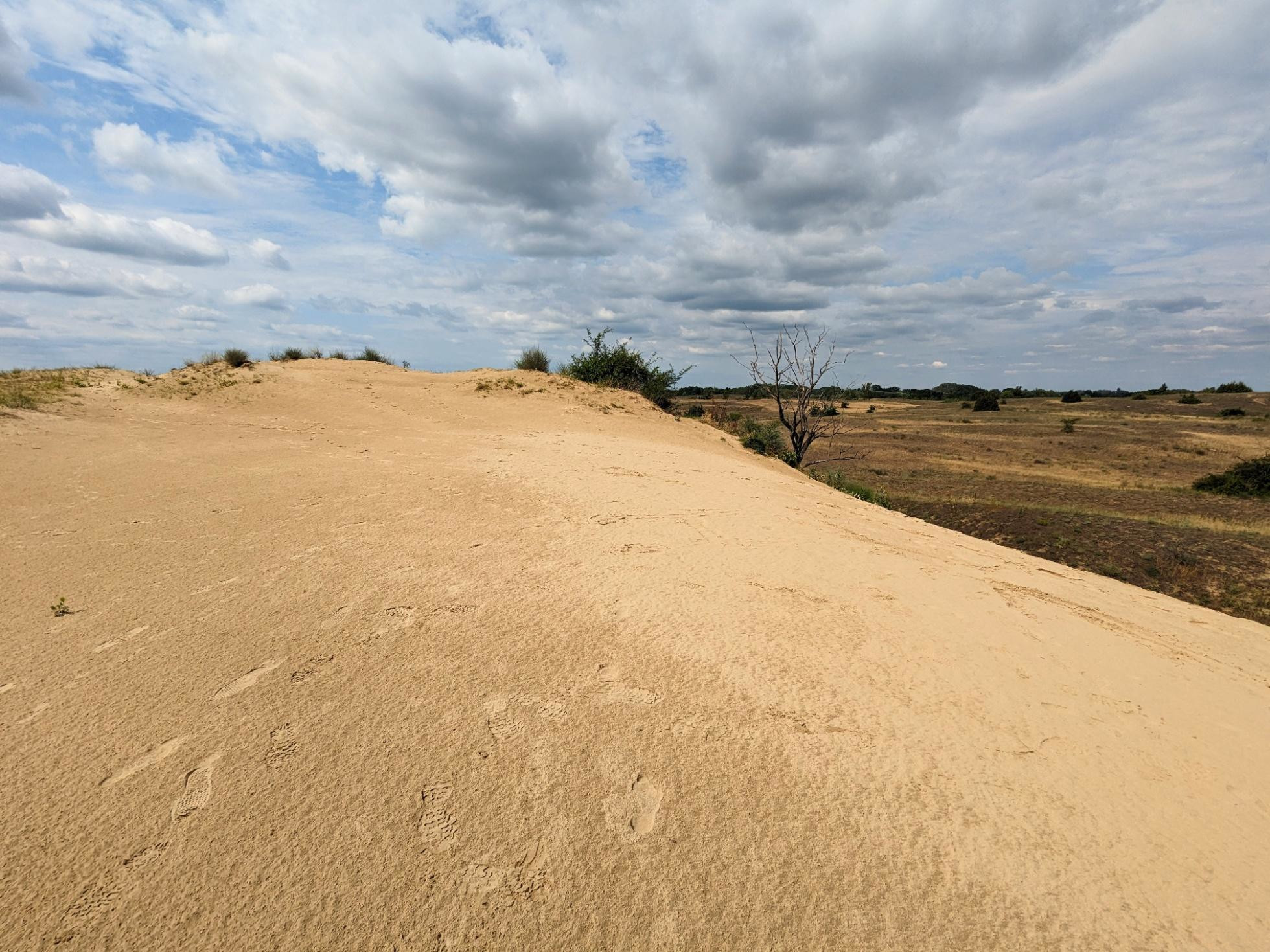 Pohyblivá duna v Národnom parku Kiskunsági