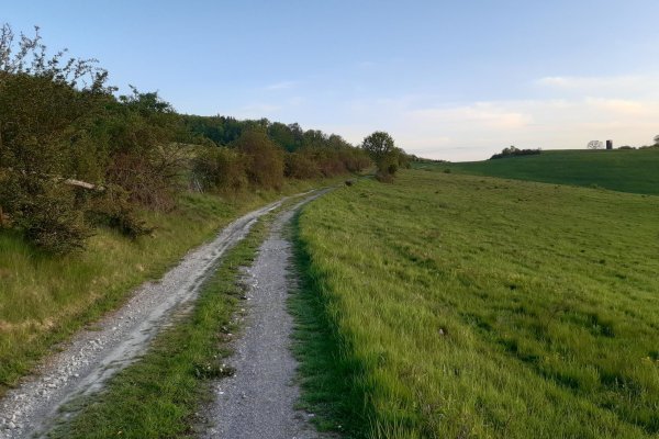 Cesta k UNIMO od žltej lokálnej značky v úseku Dúbravica - Hrochoť