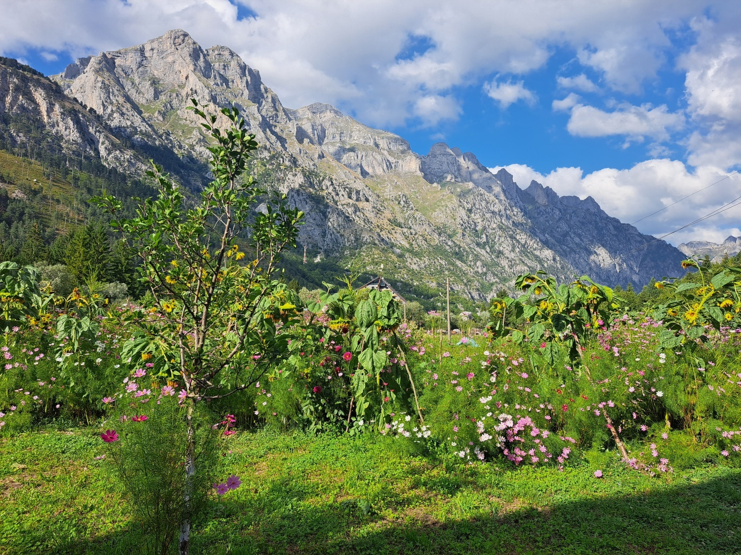 Národný park Albánske Alpy - údolie Valbone