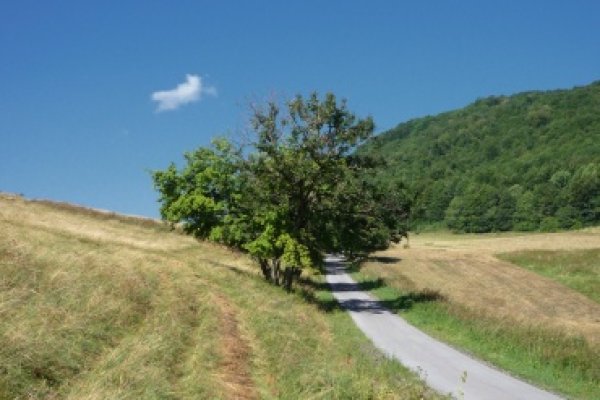 Cesta na Bôrčanské sedlo zo Zádielskej doliny