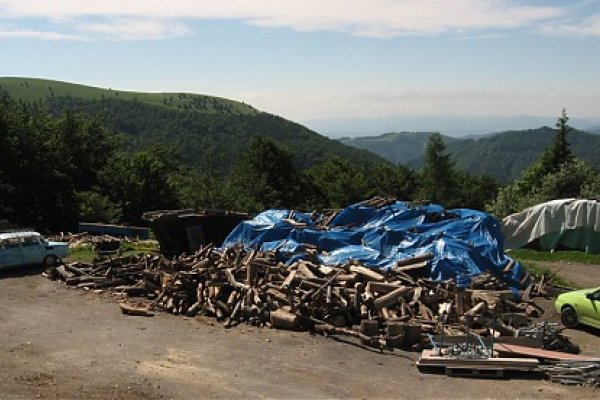 Kopa dreva pred nájazdom brigádnikov (foto: janči)