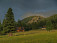 Idylka nad Zakopanym