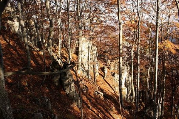 Skalné útvary hrebeňa Bokšovskej rázsochy