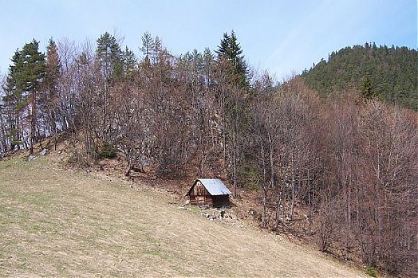 Vpravo vrch Brankov, sedlo Jama zakrýva zalesnený kopec nad salašom (autor foto: Tomáš Trstenský)
