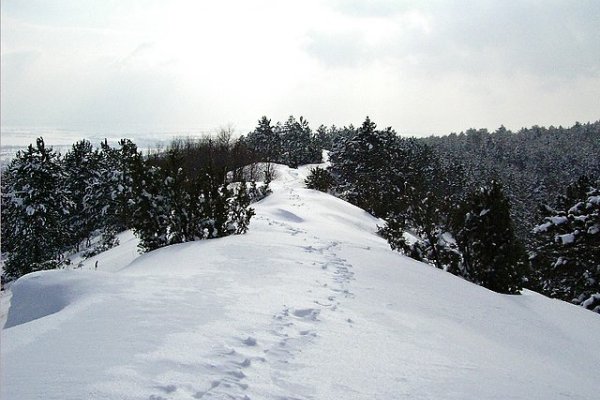 Na hrebeni-šiji medzi Čachticami a Višňovým