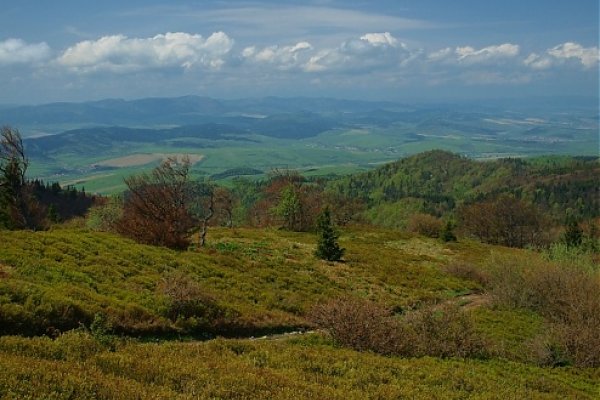 Výhľad z Minčola smerom na západ, na horizonte vidieť Levočské vrchy