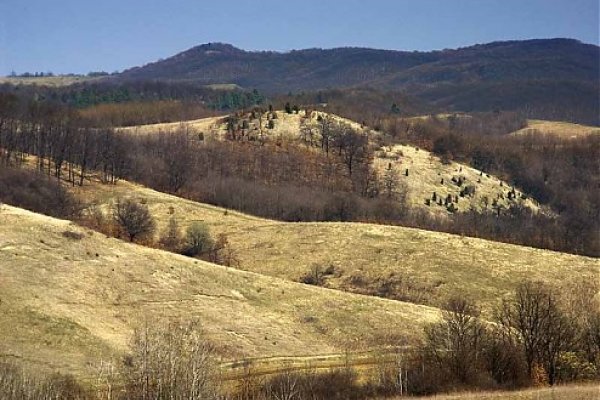 Krajina pod vrchom ÄŚrep, v pozadĂ­ hradnĂ˝ vrch hradu Kapla nad Ĺ irkovcami.