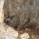 Sprístupnený vchod jaskyne, vidno poodlamované kvaple