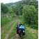 Poloniny - 5-kilometrová cesta lesom z Uble do Uliča (popri hranici s Ukrajinou)