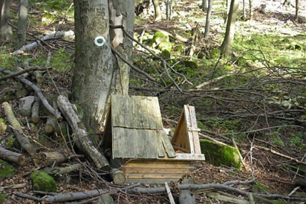 Studnička pod Demianom v Jaseňovej doline zasiahnutá pri ťažbe dreva