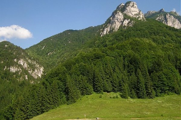 v sedle Vrchpodžiar - v lese ukryté Horné Diery, vpravo Poludňové skaly a Veľký Rozsutec