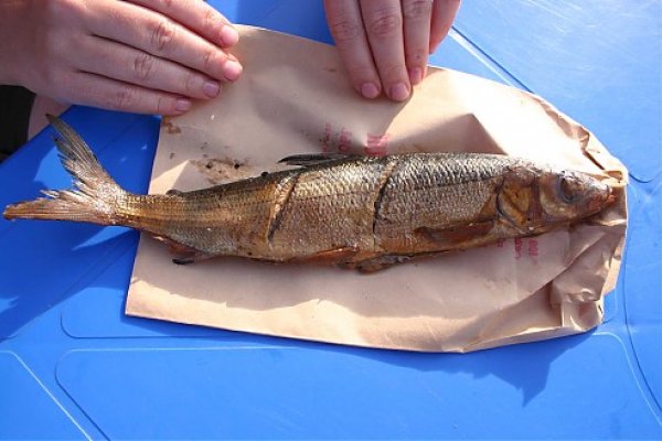 údený a pečený omul (endemická ryba)