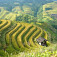 Dragon Backbone rice terraces