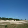 Pieskové duny
