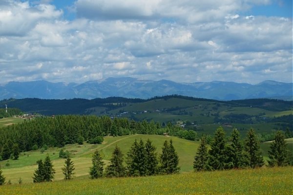 Nízke Tatry a lesnícke osady Kysuca, Sedmák a Drábsko z Čierťaže
