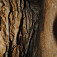 Výzdoba v novoobjavených priestoroch jaskyne Husí stok