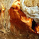 Stalagnáty Gombaseckej jaskyne