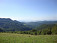 Bezovec