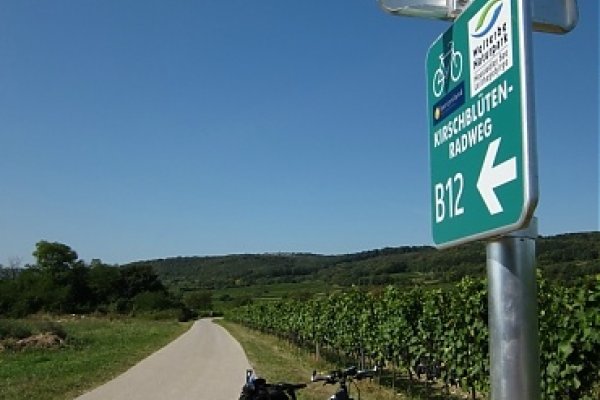Cyklotrasa B12 - Kirschblütenradweg (Cesta čerešňových kvetov)