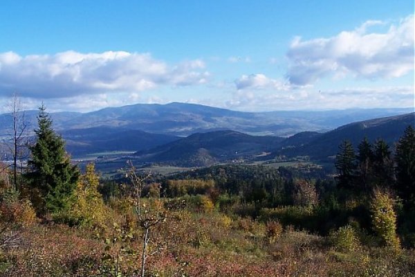 Zvolenská kotlina a nad ňou Poľana z rúbaniska Červeňákovho vrchu