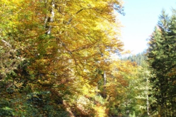 Jesenná paleta rakúskych Álp