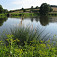 Ježov - dedinský rybník