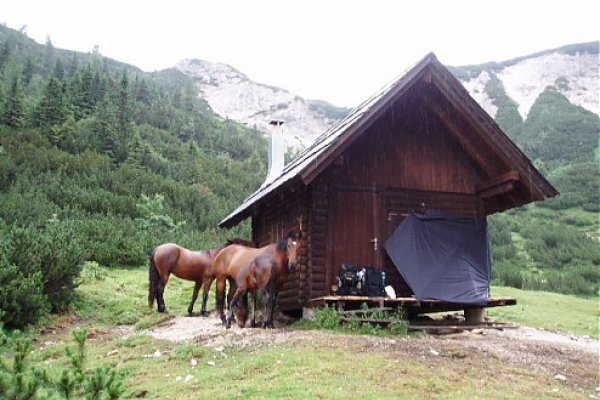 Provizórne čakanie počas búrky na planine Dolga Njiva v spoločnosti stáda koní.