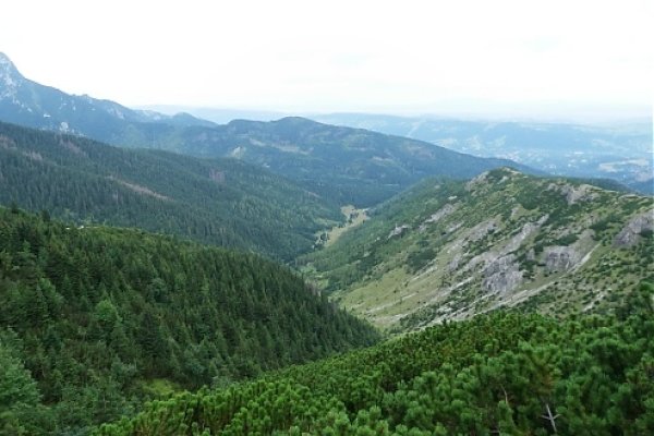 Dolina Jaworzynka