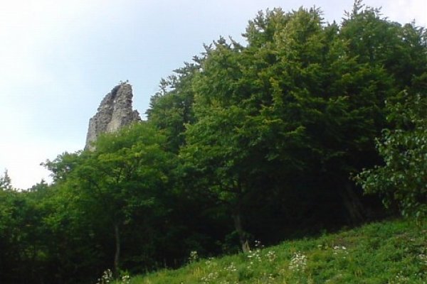 Hanigovský hrad