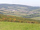Březová