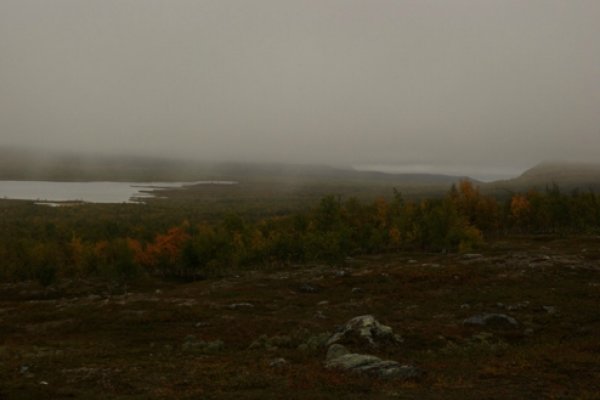 Pestrofarebné zahmlené Laponsko
