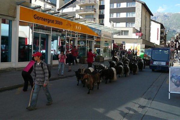 Kozy na hlavnej ulici Zermattu 