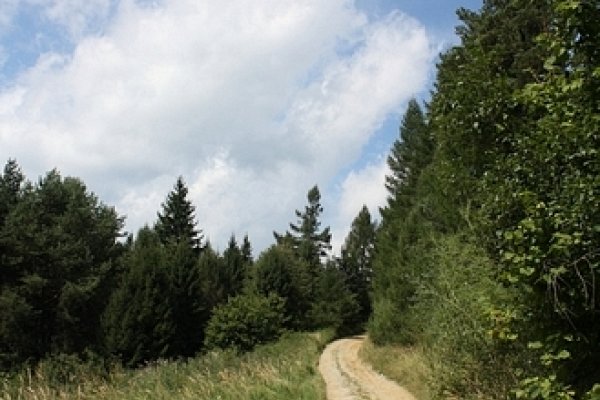 Lesná cyklomagistrála smerom na Podproč