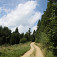 Lesná cyklomagistrála smerom na Podproč