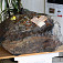 100-kilogramový meteorit pána Neuhausa v Štrbe