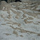 Snehové polia na úpätí