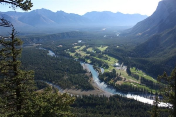 Bow valley